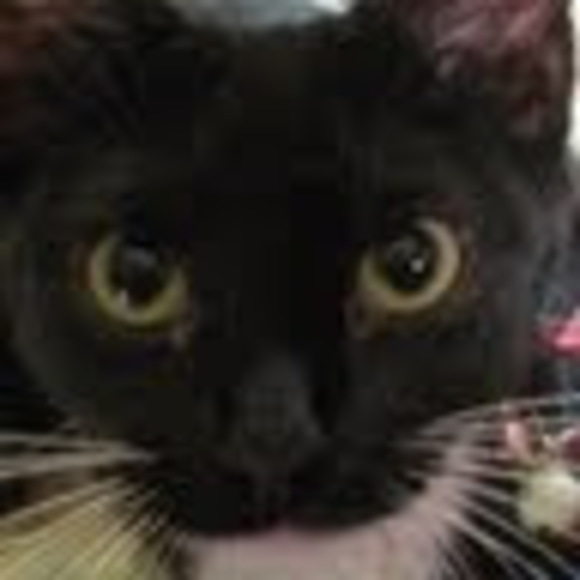 Meet your Posher, Cathy - Picture 6 of 9